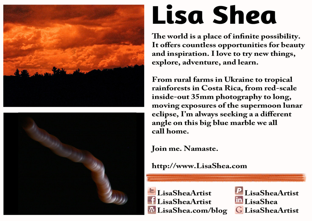 Lisa Shea Artist Postcard