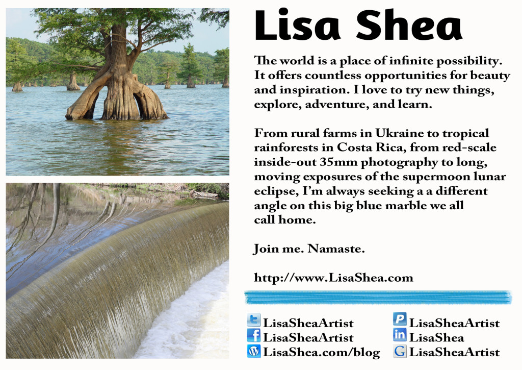 Lisa Shea Artist Postcard