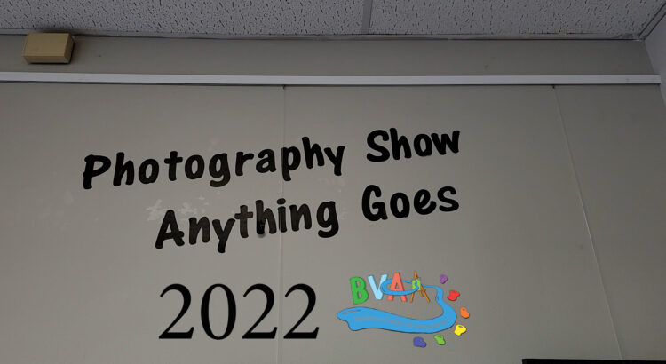 2022 Anything Goes photography show