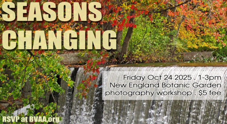 Seasons Changing - New England Botanic Garden at Tower Hill