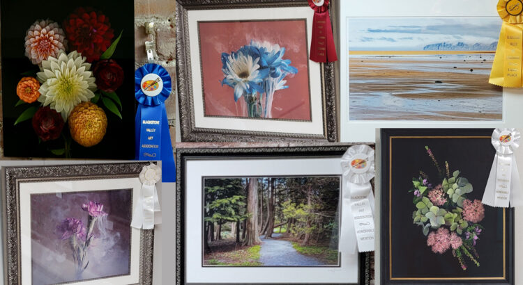 2026 Anything Goes Winners