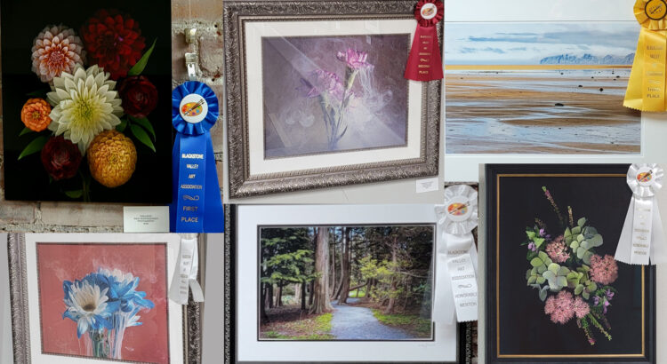 Anything Goes Photography Show 2026 Winners