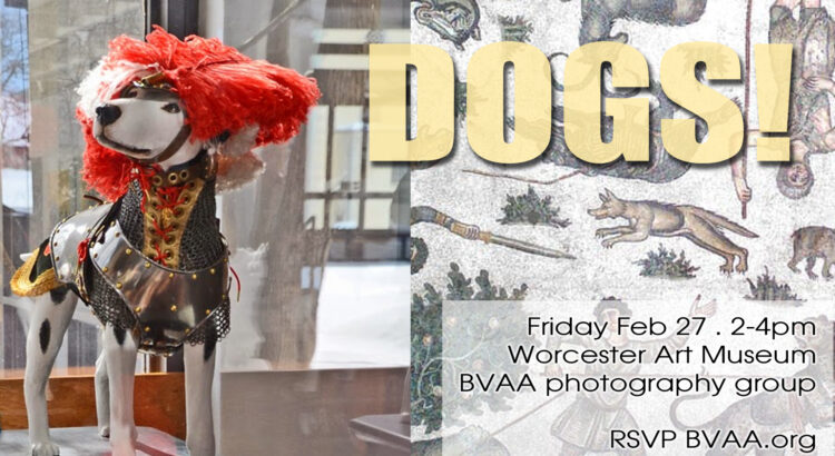 Dogs - Photography Fun at the Worcester Art Museum